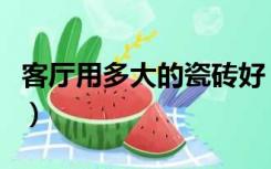 客厅用多大的瓷砖好（装修用多大的瓷砖好看）