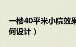 一楼40平米小院效果图（一楼40平米小院如何设计）