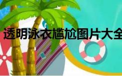 透明泳衣尴尬图片大全（透明泳衣尴尬图片）