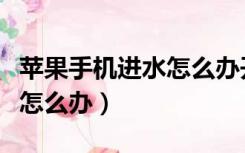 苹果手机进水怎么办开不了机（苹果手机进水怎么办）