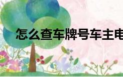 怎么查车牌号车主电话（怎么查车牌号）