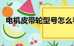 电机皮带轮型号怎么看（电机皮带轮规格）