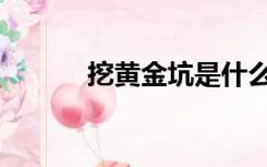 挖黄金坑是什么意思（挖黄金）