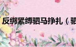反绑紧缚驷马挣扎（驷马反绑女生挣扎文章）
