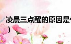 凌晨三点醒的原因是什么（凌晨三点醒的原因）