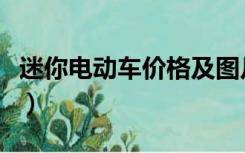 迷你电动车价格及图片折叠（迷你电动车价格）