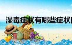 湿毒症状有哪些症状图片（湿毒症状图片）