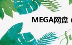 MEGA网盘（mega网盘）