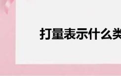 打量表示什么类的词语（打量）