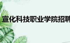 宣化科技职业学院招聘（宣化科技职业学院）