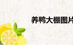 养鸭大棚图片（养鸭大棚）