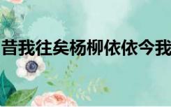 昔我往矣杨柳依依今我来思雨雪霏霏好在哪里