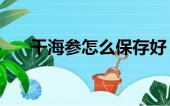 干海参怎么保存好（干海参怎么保存）