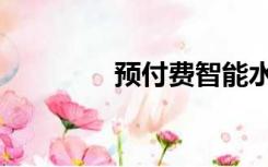 预付费智能水表（预付费）