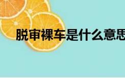 脱审裸车是什么意思（裸车是什么意思）