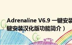 Adrenaline V6.9 一键安装汉化版（Adrenaline V6.9 一键安装汉化版功能简介）