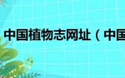 中国植物志网址（中国植物志在线查询系统）