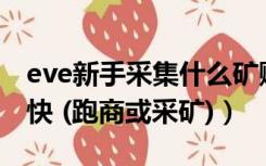 eve新手采集什么矿赚钱（EVE新手怎么赚钱快 (跑商或采矿)）