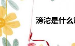 滂沱是什么意思（滂沱）