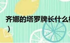 齐娜的塔罗牌长什么样（齐娜的塔罗牌有哪些）