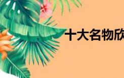 十大名物欣赏现场版D