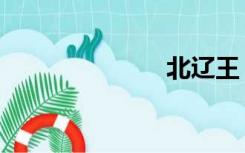 北辽王（北辽）