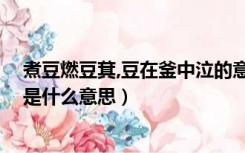 煮豆燃豆萁,豆在釜中泣的意思（煮豆燃豆萁 豆在釜中泣釜是什么意思）