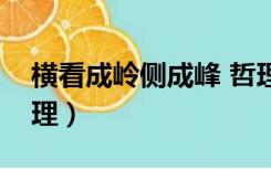 横看成岭侧成峰 哲理（横看成岭侧成峰的哲理）