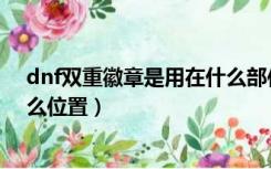 dnf双重徽章是用在什么部位（dnf华丽双重徽章镶嵌在什么位置）