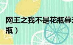 网王之我不是花瓶暮云春树（网王之我不是花瓶）