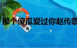 那个傻瓜爱过你赵传歌词（那个傻瓜爱过你）