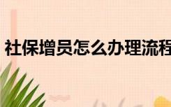 社保增员怎么办理流程（社保增员怎么办理）