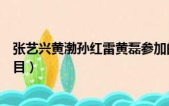 张艺兴黄渤孙红雷黄磊参加的综艺节目（黄磊参加的综艺节目）