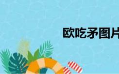 欧吃矛图片（欧吃矛）