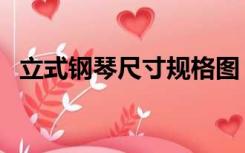 立式钢琴尺寸规格图（立式钢琴尺寸规格）