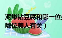 泥鳅钻豆腐和哪一位美人有关（泥鳅钻豆腐与哪位美人有关）