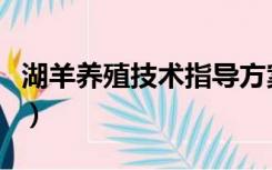 湖羊养殖技术指导方案及措施（湖羊养殖技术）