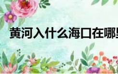 黄河入什么海口在哪里（黄河入海口在哪）