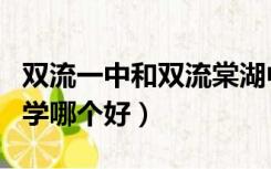 双流一中和双流棠湖中学（双流中学和棠湖中学哪个好）