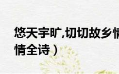 悠天宇旷,切切故乡情（悠悠天宇旷切切故乡情全诗）