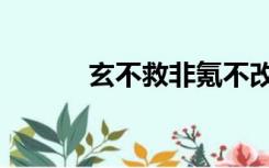 玄不救非氪不改命（玄不救非）
