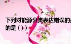 下列对能源分类表达错误的是（下列关于能源分类表述错误的是 ( )）