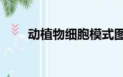 动植物细胞模式图（动植物细胞图）
