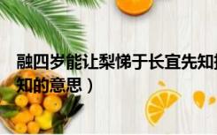融四岁能让梨悌于长宜先知拼音（融四岁能让梨悌于长宜先知的意思）