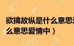 欲擒故纵是什么意思爱情中的（欲擒故纵是什么意思爱情中）