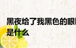 黑夜给了我黑色的眼睛我却用它寻找光明歌名是什么
