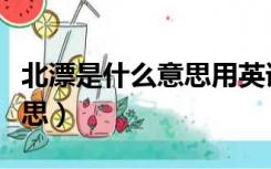 北漂是什么意思用英语怎么说（北漂是什么意思）