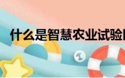 什么是智慧农业试验区（什么是智慧农业）