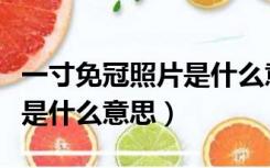 一寸免冠照片是什么意思背景（一寸免冠照片是什么意思）