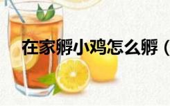 在家孵小鸡怎么孵（在家孵小鸡的方法）